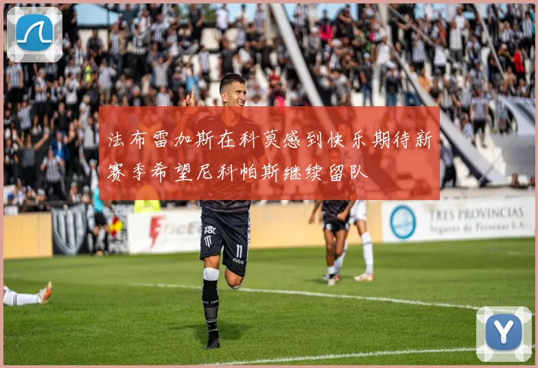 法布雷加斯在科莫感到快乐期待新赛季希望尼科帕斯继续留队